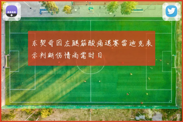 东契奇因左腿筋酸痛退赛雷迪克表示判断伤情尚需时日