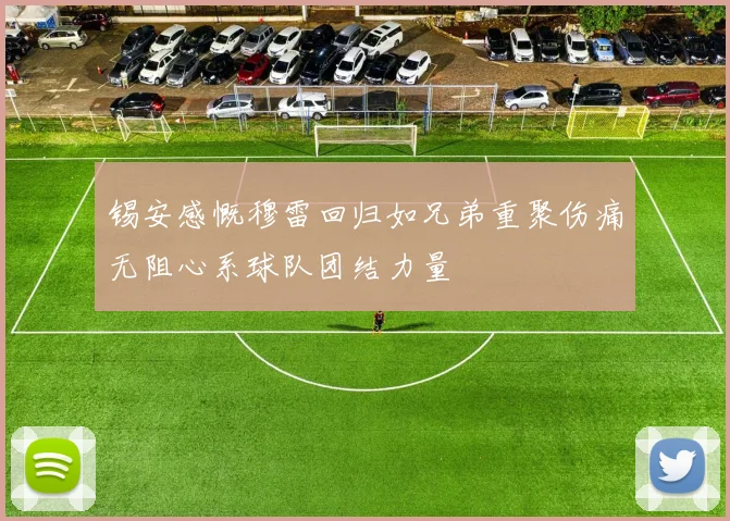 锡安感慨穆雷回归如兄弟重聚伤痛无阻心系球队团结力量