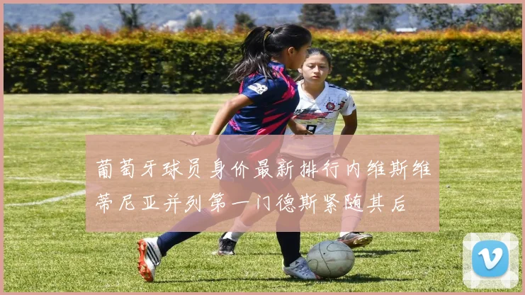 葡萄牙球员身价最新排行内维斯维蒂尼亚并列第一门德斯紧随其后