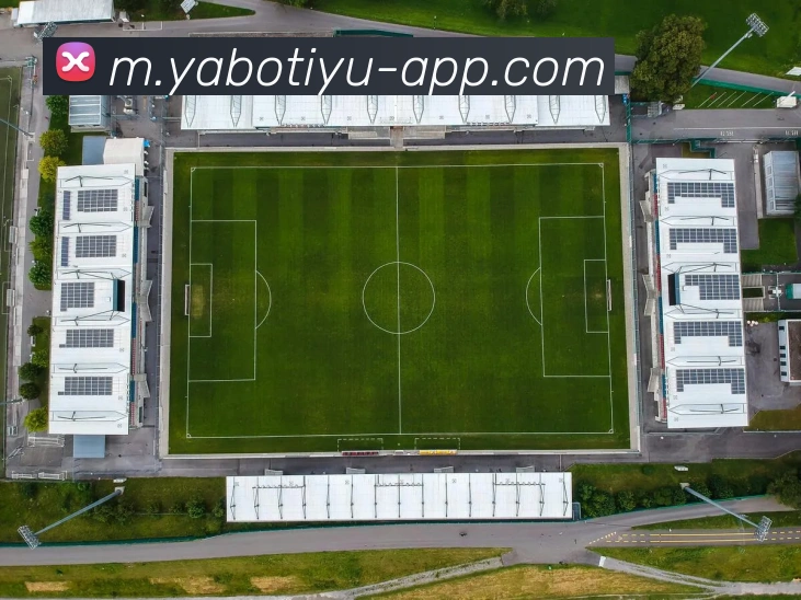 App Interface Preview