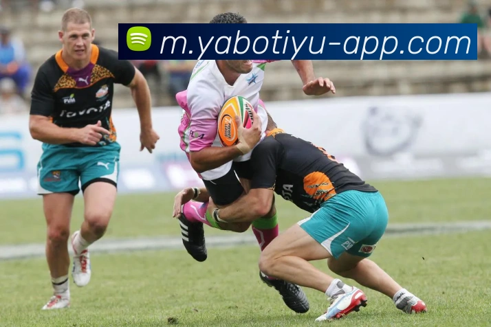 数据防护可视化